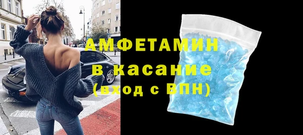 индика Аркадак