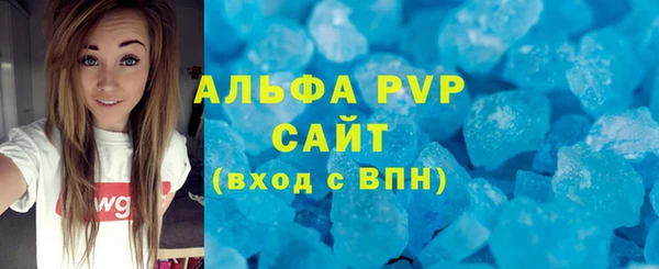 индика Аркадак