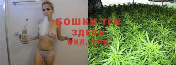 индика Аркадак